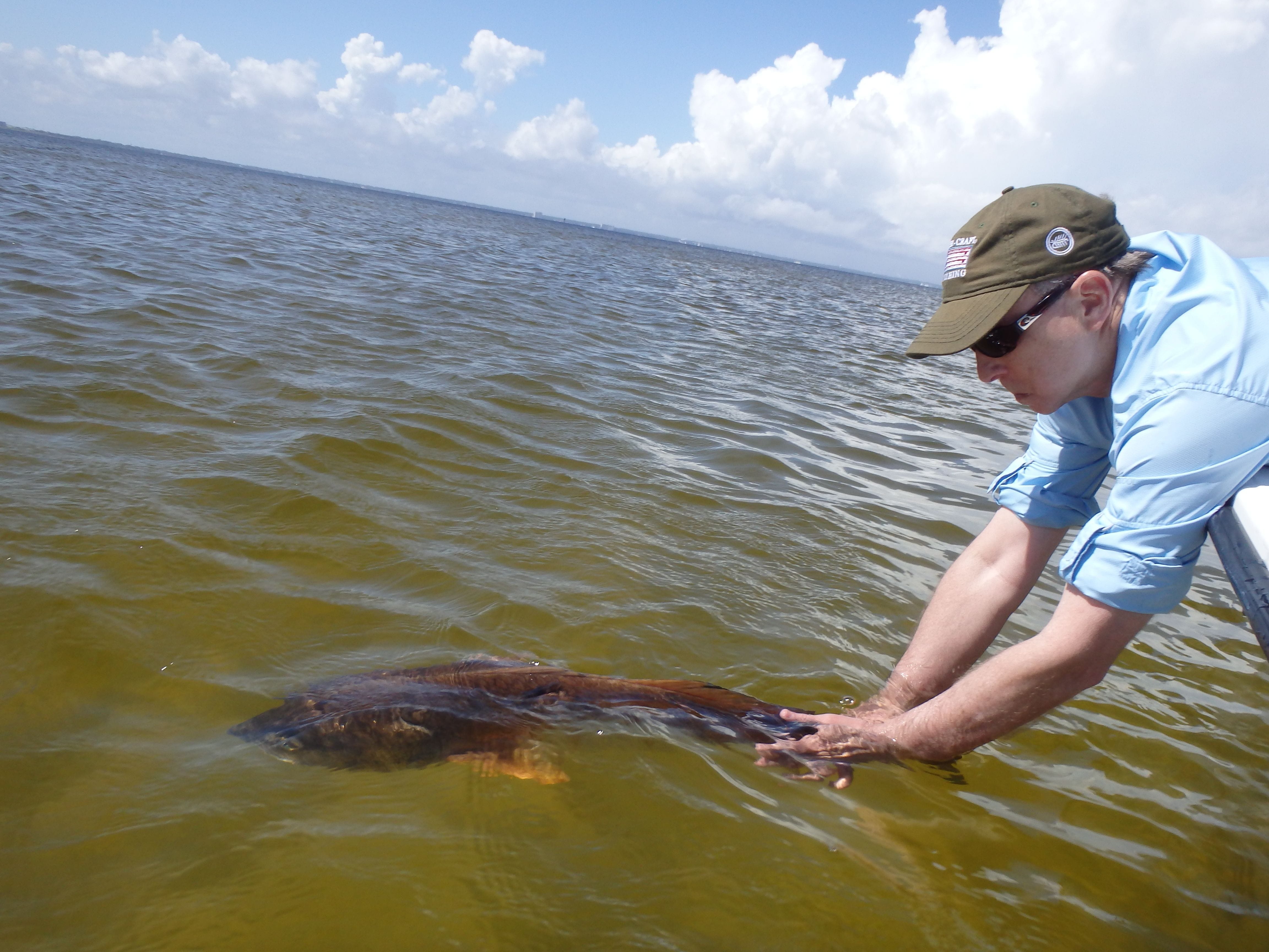Gulf Breeze Guide Service Target Fih